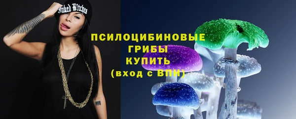 ешки Арсеньев