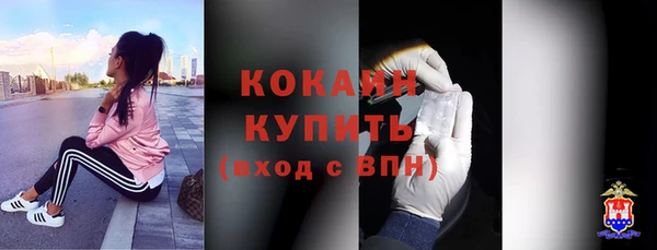ешки Арсеньев
