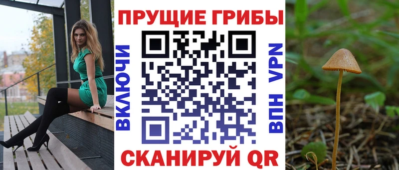 hydra сайт Уржум Псилоцибиновые грибы Cubensis